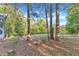 Scenic wooded lot with mature trees and an open, grassy area, offering a serene natural setting at 924 Lynn Rd, Durham, NC 27703