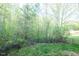A fenced backyard with lush greenery offers privacy and space for outdoor enjoyment at 1004 Longleaf Pine Pl, Mebane, NC 27302