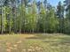 A backyard featuring a tranquil view of a lush green forest under a clear blue sky at 1010 Pool Rock Rd, Henderson, NC 27537