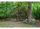 Serene backyard setting with mature trees, landscaping and a charming wooden swing at 1027 Upchurch Farm Ln, Cary, NC 27519