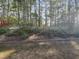 Wooded backyard provides privacy in a natural setting at 108 Warm Wood Ln, Apex, NC 27539