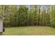Wooded backyard perfect for outdoor enjoyment with a level, grassy area and a tree line at 1106 Lake Ridge Dr, Creedmoor, NC 27522