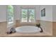 Bright bathroom with a large soaking tub overlooking the backyard at 1318 Indian Camp Rd, Chapel Hill, NC 27516