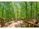 Wood deck with built-in benches surrounded by a lush wooded area at 158 Poplar St # A, Chapel Hill, NC 27516