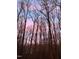 Beautiful sky with the silhouette of trees in the foreground at 158 Poplar St # A, Chapel Hill, NC 27516