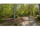 A private driveway winding through a wooded area, leading to a secluded and peaceful home at 373 & 375 Sagamore Dr, Louisburg, NC 27549