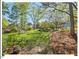 Lush backyard featuring a well-maintained lawn, mature trees, and peaceful surroundings at 4 N Poston Ct, Durham, NC 27705