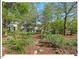 Landscaped backyard with lush greenery, stepping stone pathway, and mature trees at 4 N Poston Ct, Durham, NC 27705