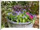 Ceramic flower pot filled with colorful flowers and lush greenery, adding charm to the outdoor space at 4 N Poston Ct, Durham, NC 27705