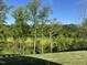View of the lush green backyard with mature trees and level lawn at 4404 Darius Ct # 41, Fuquay Varina, NC 27526
