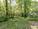 Lush backyard featuring mature trees and verdant landscaping, creating a peaceful setting at 713 Macon Pl, Raleigh, NC 27609