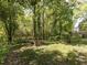 Secluded backyard retreat with mature trees, lush greenery, and a cozy fire pit area at 713 Macon Pl, Raleigh, NC 27609