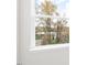 Window view of trees and other houses at 768 Dorset Stream Dr, Fuquay Varina, NC 27526