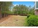 Large backyard with trees and manicured shrubbery at 1029 Frank Page Dr, Cary, NC 27519