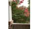Charming flowering tree with vibrant pink blooms viewed from a cozy porch setting at 1029 Frank Page Dr, Cary, NC 27519