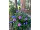 Beautiful and colorful landscaping with blue and pink hydrangeas at 1029 Frank Page Dr, Cary, NC 27519