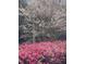 Lush landscaping features vibrant pink flowers and a blossoming tree, enhancing curb appeal at 1029 Frank Page Dr, Cary, NC 27519