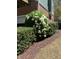 Neatly trimmed shrubs with white flowers provide privacy and add curb appeal to this well-maintained home at 1029 Frank Page Dr, Cary, NC 27519
