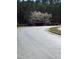 Curving street view features well-maintained landscaping, trees, and manicured shrubs enhancing the property's surroundings at 1029 Frank Page Dr, Cary, NC 27519