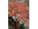 A picturesque tree with vibrant foliage stands near the street lamp, adding charm to the home's landscape at 1029 Frank Page Dr, Cary, NC 27519