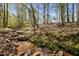 Creek with rocks and lush greenery in a private, wooded backyard at 1174 Robertson Rd, Roxboro, NC 27574