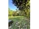 Lush backyard filled with mature trees and greenery, offering a private and serene outdoor space at 1311 Branch St, Rocky Mount, NC 27801