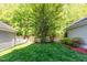 Well-maintained backyard with lush green lawn, mature trees, and partial fencing, offering a private outdoor space at 161 Fort Jackson Rd, Morrisville, NC 27560
