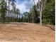Cleared lot ready for building, surrounded by mature trees at 1681 Pecan Drive # 24, Nashville, NC 27856