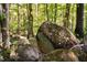 A view of the backyard showcasing a natural rock outcropping amidst lush green forest at 195 Nicks W Bnd, Pittsboro, NC 27312