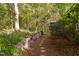 Backyard stone path running along a stone retaining wall and leading through a lush wooded area at 195 Nicks W Bnd, Pittsboro, NC 27312