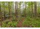 Lush backyard featuring walking path through the trees along the small stream at 195 Nicks W Bnd, Pittsboro, NC 27312