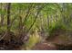 Idyllic creek flowing through a lush green forest offers a serene natural setting at 195 Nicks W Bnd, Pittsboro, NC 27312