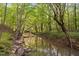 Picturesque stream flowing through a lush wooded area creating a tranquil natural setting at 195 Nicks W Bnd, Pittsboro, NC 27312