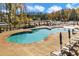Large outdoor pool surrounded by lounge chairs and umbrellas for relaxing by the water at 2528 Forge Village Way, Apex, NC 27523