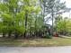 Charming home with lush greenery and mature trees surrounding the property at 301 Trappers Sack Rd, Cary, NC 27513