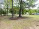 Landscaped yard featuring mature trees and flowering shrubs at 301 Trappers Sack Rd, Cary, NC 27513