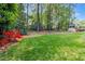 Well-maintained backyard with lush lawn and colorful garden at 3117 Woodgreen Dr, Raleigh, NC 27607