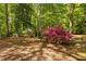 Backyard featuring mature trees, flowering bushes, and a hammock at 3312 Shannon Cir, Apex, NC 27539