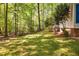 Lush backyard with mature trees and greenery, partially shaded and well-maintained lawn at 3312 Shannon Cir, Apex, NC 27539