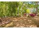Spacious backyard with mature trees and lush landscaping at 3312 Shannon Cir, Apex, NC 27539