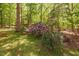 Beautiful shot of the flower beds and surrounding trees in the yard at 3312 Shannon Cir, Apex, NC 27539
