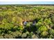 Picturesque aerial view showing the house nestled among lush trees, highlighting a private and serene setting at 452 Dogwood Trl, Henderson, NC 27537