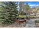 A small water feature surrounded by stones, greenery, and a decorative border at 5109 Dove Forest Ln, Apex, NC 27539