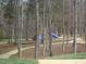 Community playground surrounded by trees, walking path, and a covered seating area at 607 Millbrook Dr, Pittsboro, NC 27312