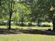 Park-like backyard featuring mature trees, picnic table, and swing set at 710 Dothan Ave, Burlington, NC 27217