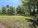 Expansive backyard featuring mature trees and a well-maintained lawn at 710 Dothan Ave, Burlington, NC 27217