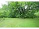 Lush green backyard featuring a mature shade tree, perfect for relaxation and outdoor activities at 7129 Dexter Rd, Oxford, NC 27565