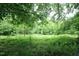 An overgrown backyard, perfect for someone looking to reconnect with nature! at 7129 Dexter Rd, Oxford, NC 27565