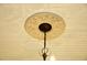 Ornate ceiling with a decorative medallion and a hanging light fixture, enhancing the home's elegance at 7129 Dexter Rd, Oxford, NC 27565