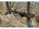 Picturesque creek flowing through a wooded area, adding natural beauty and tranquility to the property at 7129 Dexter Rd, Oxford, NC 27565